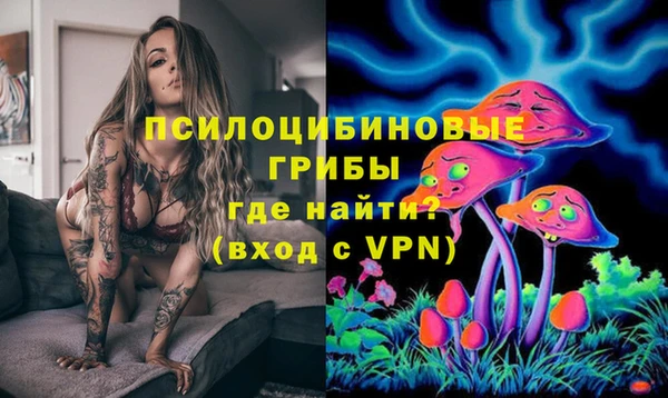 крисы Нея