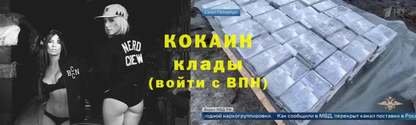 шишки Армянск