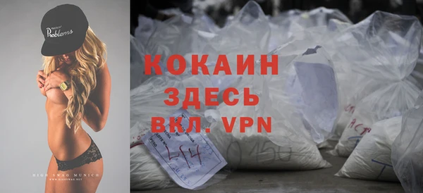 шишки Армянск