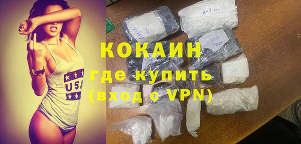 шишки Армянск