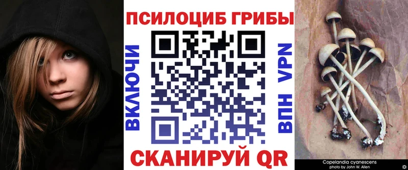 hydra tor  хочу   Холмск  Галлюциногенные грибы MAGIC MUSHROOMS 